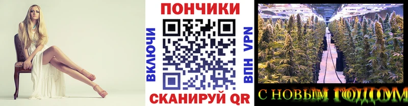где можно купить наркотик  Заречный  МАРИХУАНА THC 21% 